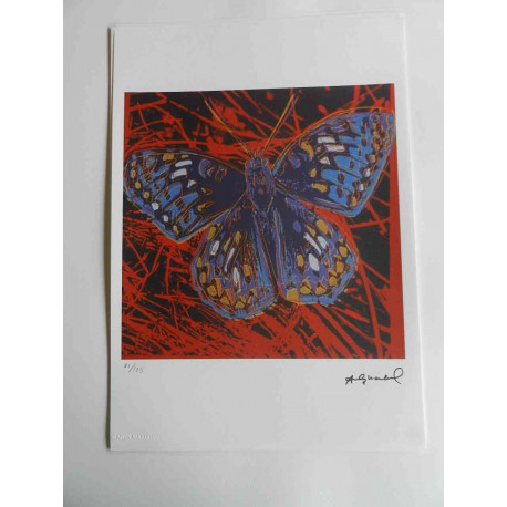 Andy Warhol Lithographie édition hors set 125 cm 35x50