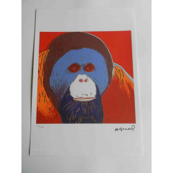 Andy Warhol Lithografie off-set editie 125 cm 35x50