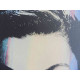 Andy Warhol Litografia, wydanie off-setowe 125 cm 35x50