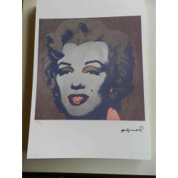 Andy Warhol Litografia edição off set 125 cm 35x50