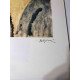 Amedeo Modigliani litografia off set 50x70 cm Arxius París