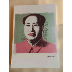 Andy Warhol Lithografie off-set editie 125 cm 35x50