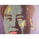 Andy Warhol Off set lithograph edition 125 cm 35x50