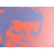 Andy Warhol Litografia edição off set 125 cm 35x50