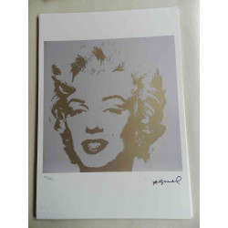 Andy Warhol Lithografie off-set editie 125 cm 35x50