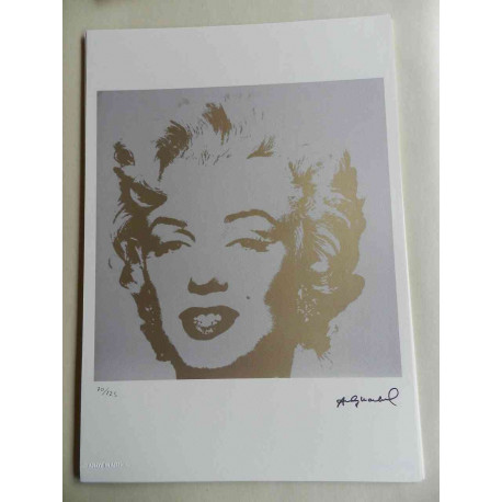 Andy Warhol Lithografie off-set editie 125 cm 35x50