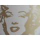 Andy Warhol Lithografie off-set editie 125 cm 35x50
