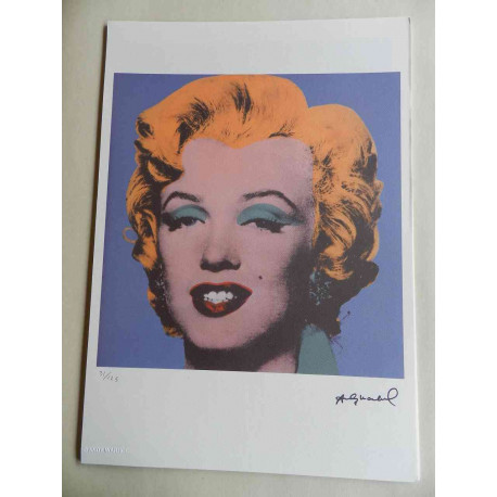 Andy Warhol Lithographie édition hors set 125 cm 35x50