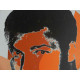 Andy Warhol Litografia off set edició 125 cm 35x50