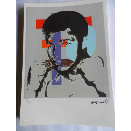 Andy Warhol Lithographie édition hors set 125 cm 35x50