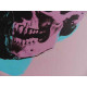 Andy Warhol Litografia off set edizione 125 cm 35x50