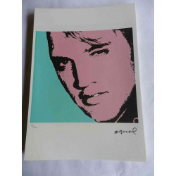 Andy Warhol Litografia off set edició 125 cm 35x50