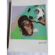 Andy Warhol Off set lithograph edition 125 cm 35x50