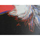 Andy Warhol Litografía offset edición 125 cm 35x50