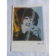 Andy Warhol Lithografie off-set editie 125 cm 35x50