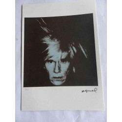 Andy Warhol Lithografie off-set editie 125 cm 35x50