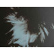 Andy Warhol Lithografie off-set editie 125 cm 35x50