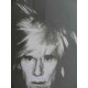 Andy Warhol Litografia edição off set 125 cm 35x50