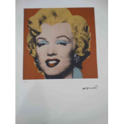 Andy Warhol Lithografie off-set editie 100 cm 57x38