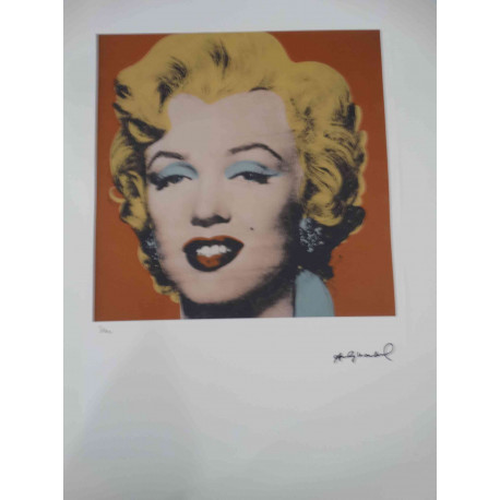 Andy Warhol Lithografie off-set editie 100 cm 57x38