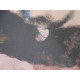 Andy Warhol Lithographie édition hors set 100 cm 57x38