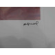 Andy Warhol Lithographie édition hors set 100 cm 57x38