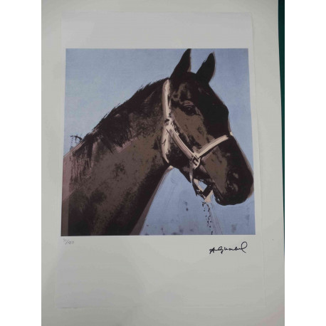 Andy Warhol Litografia off set edizioa 100 cm 57x38