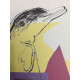 Andy Warhol Off set lithograph 100 cm edition 57x38