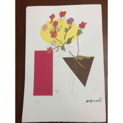 Andy Warhol Lithografie off-set editie 100 cm 57x38