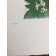 Andy Warhol Lithographie Off-Set-Edition 100 cm 57x38