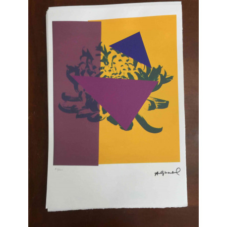 Andy Warhol Litografía offset edición 100 cm 57x38