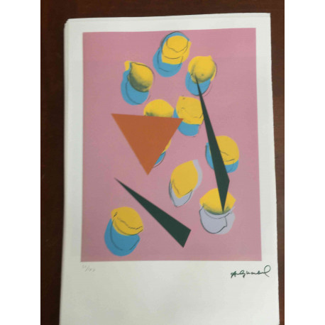 Andy Warhol Lithographie Off-Set-Edition 100 cm 57x38