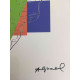 Andy Warhol Lithografie off-set editie 100 cm 57x38