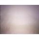 Adolf Hitler litografia off set cm 50x70 timbro del Reich