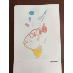 Andy Warhol Lithografie off-set editie 100 cm 57x38
