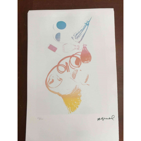 Andy Warhol Lithografie off-set editie 100 cm 57x38
