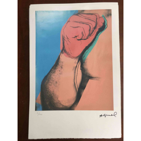 Andy Warhol Lithographie édition hors set 100 cm 57x38