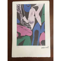 Andy Warhol Lithographie édition hors set 100 cm 57x38