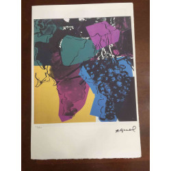 Andy Warhol Litografia off set edició 100 cm 57x38