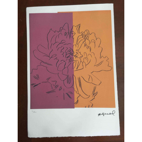 Andy Warhol Litografia off set edició 100 cm 57x38