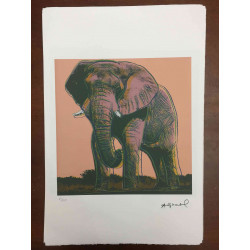 Andy Warhol Lithographie Off-Set-Edition 100 cm 57x38