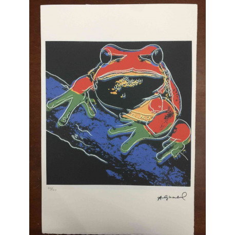 Andy Warhol Off set lithograph 100 cm edition 57x38