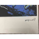 Andy Warhol Off set lithograph 100 cm edition 57x38