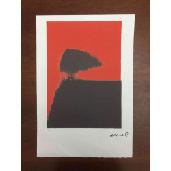 Andy Warhol Litografia off set edizioa 100 cm 57x38