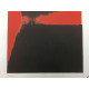 Andy Warhol Litografia off set edizioa 100 cm 57x38
