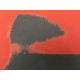 Andy Warhol Litografia off set edizioa 100 cm 57x38