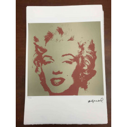Andy Warhol Off set lithograph 100 cm edition 57x38