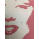 Andy Warhol Off set lithograph 100 cm edition 57x38