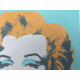 Andy Warhol Lithographie édition hors set 100 cm 57x38