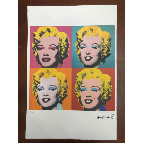 Andy Warhol Off set lithograph 100 cm edition 57x38